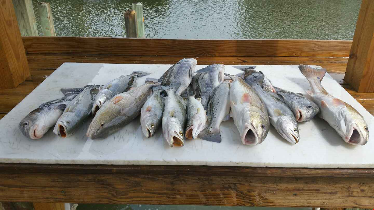 East Galveston Bay, Bolivar Peninsula Fishing Report