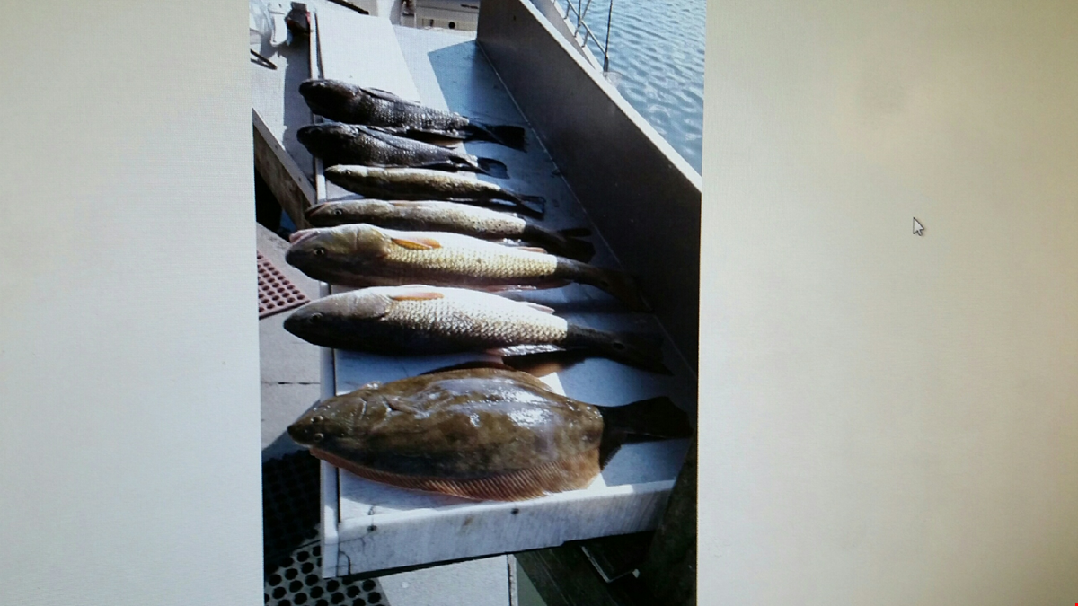 East Galveston Bay, Bolivar Peninsula Fishing Report