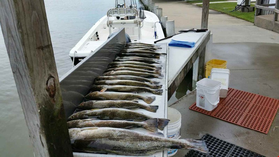 East Galveston Bay, Bolivar Peninsula Fishing Report