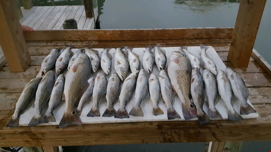 East Galveston Bay, Bolivar Peninsula Fishing Report