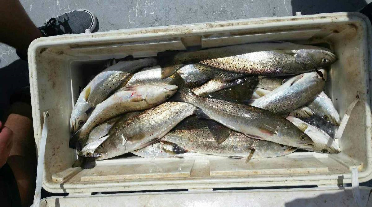 East Galveston Bay, Bolivar Peninsula Fishing Report