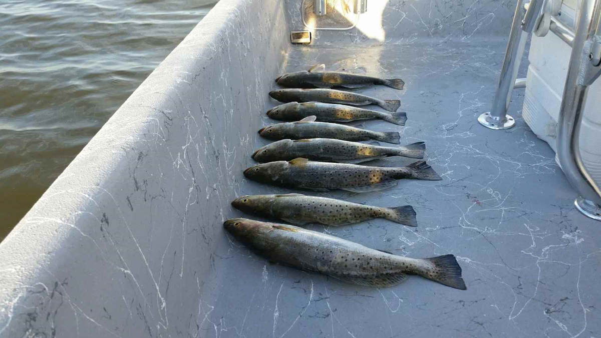 East Galveston Bay, Bolivar Peninsula Fishing Report