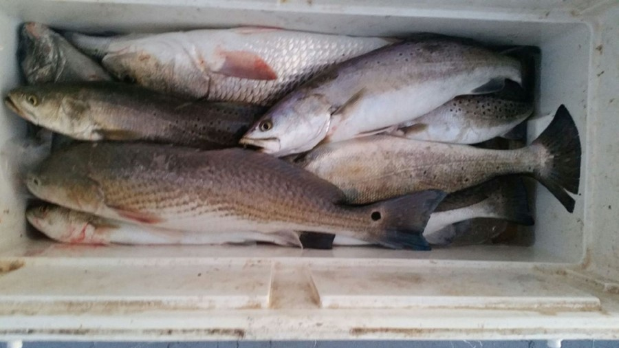 East Galveston Bay, Bolivar Peninsula Fishing Report